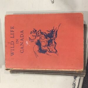 1950 "Wildlife In Canada" By C. Bernard Rutley